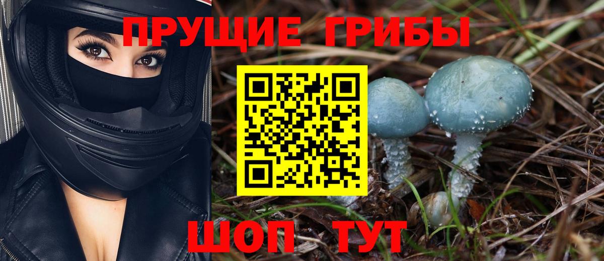 Псилоцибиновые грибы Psilocybine cubensis  Вход с VPN  что такое   Волгоград 