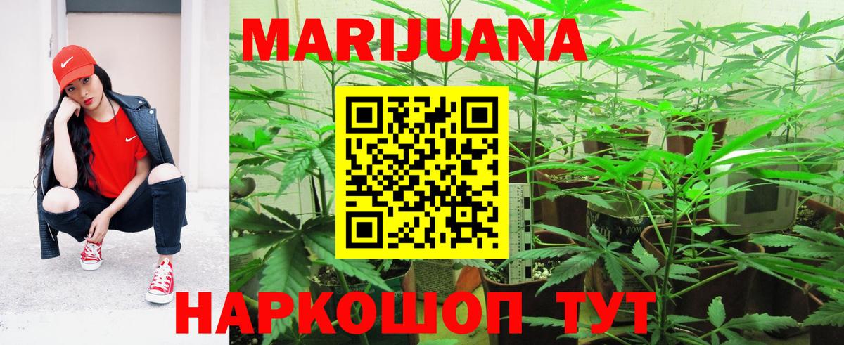 Канабис ГИДРОПОН Волгоград